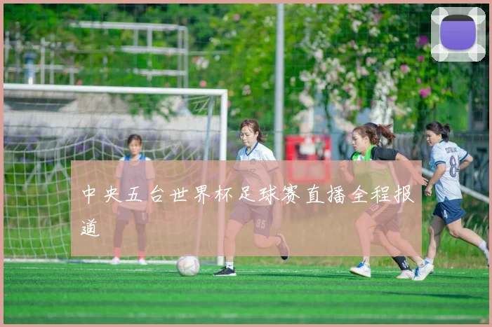中央五台世界杯足球赛直播全程报道